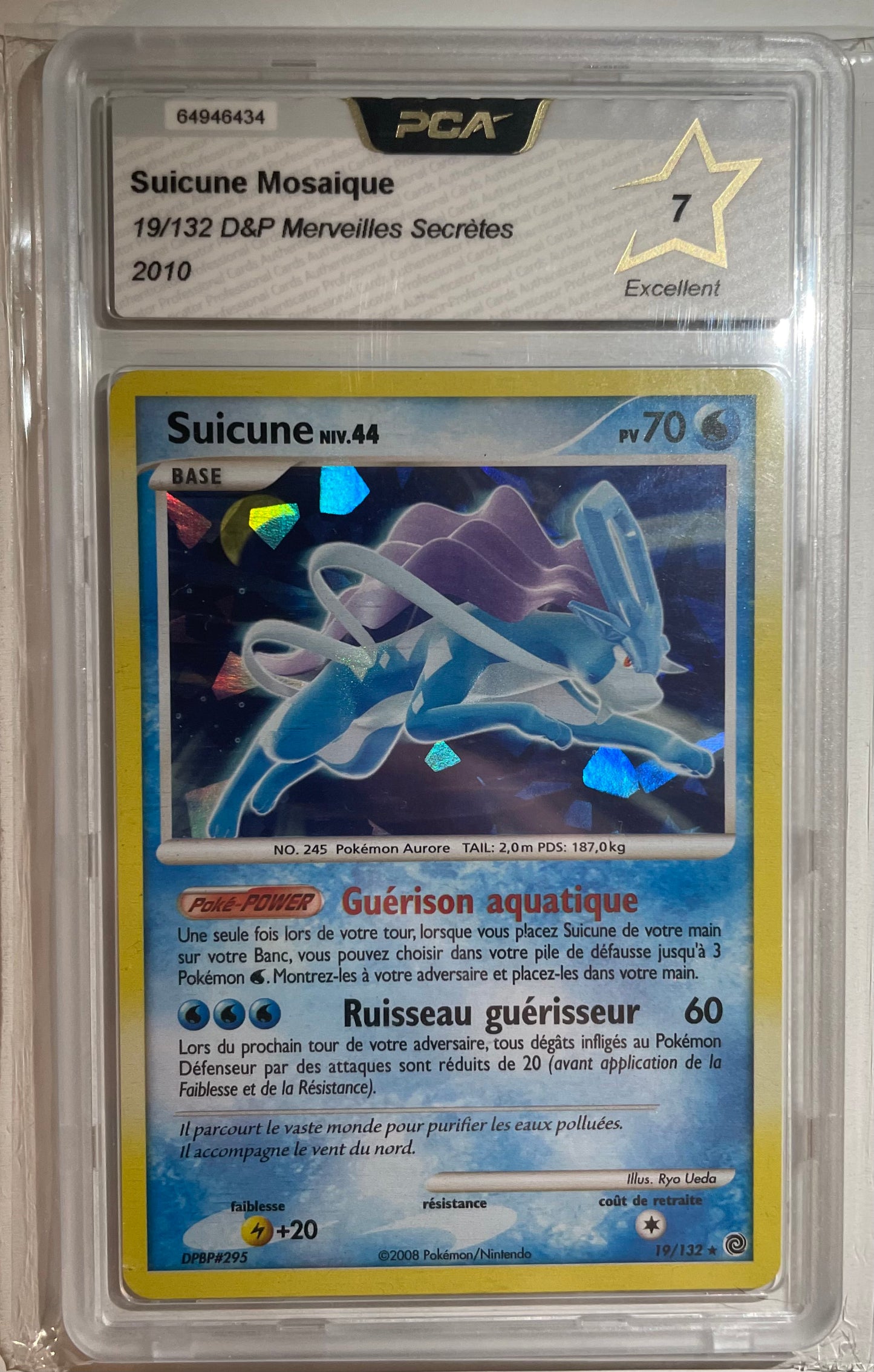 Suicune Mosaique 19/132 DP Merveilles Secrètes PCA 7