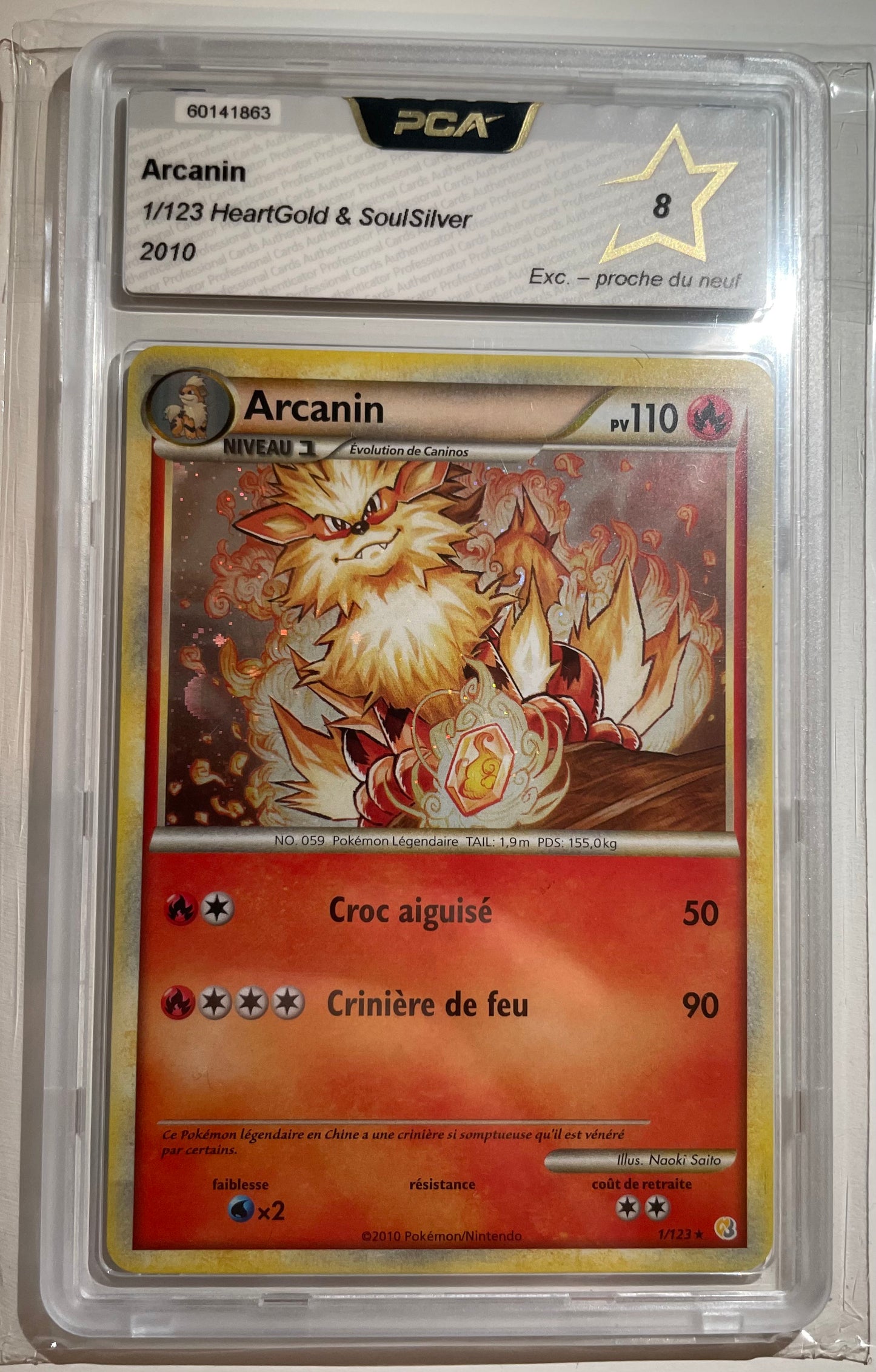 Arcanin Holo 1/123 HS PCA 8