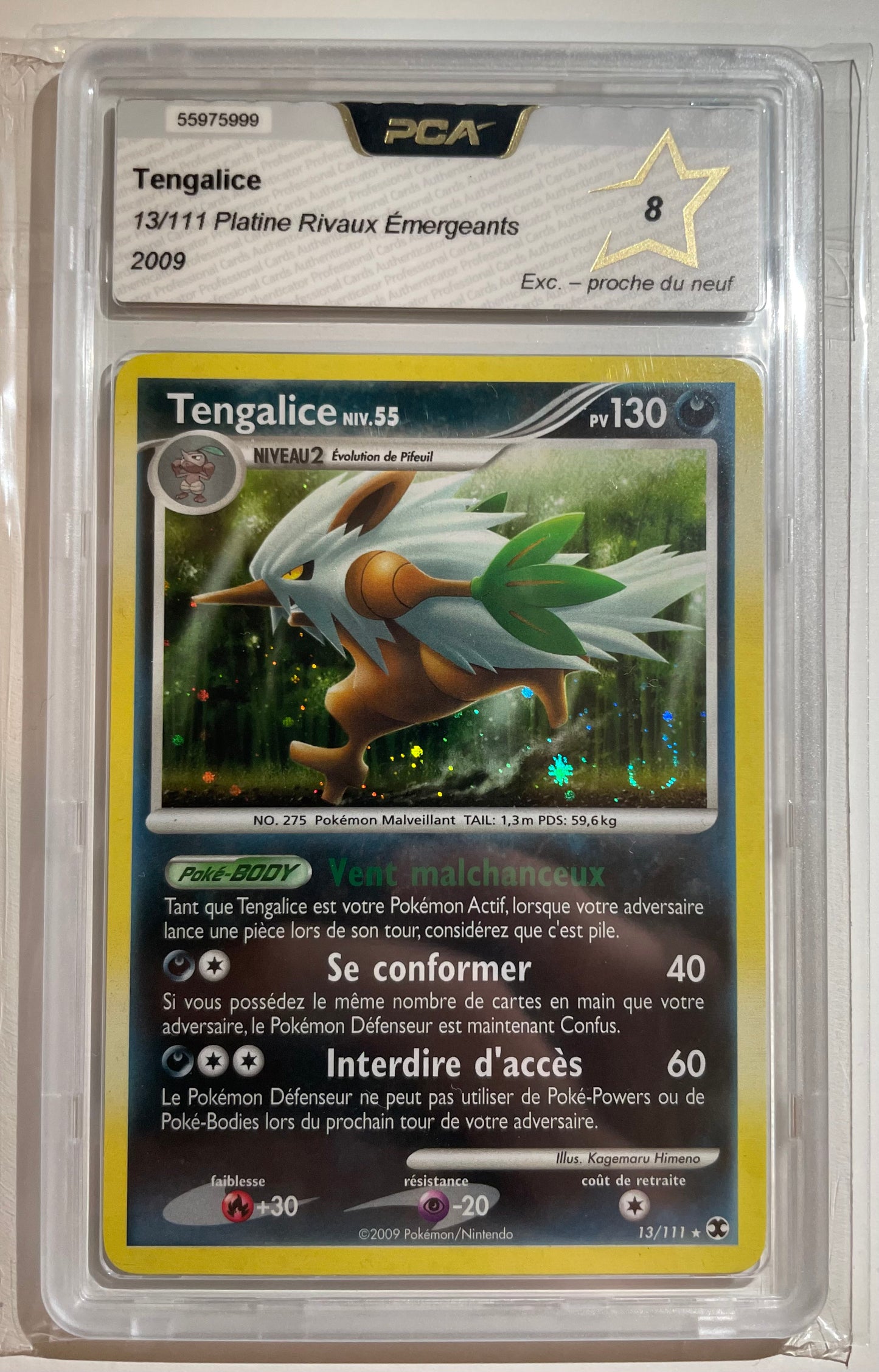 Tengalice Holo 13/111 Platine Rivaux émergeants PCA 8